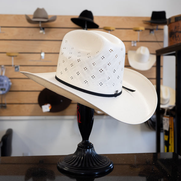 Cuernos Chuecos 100X Sonora Flower - Western