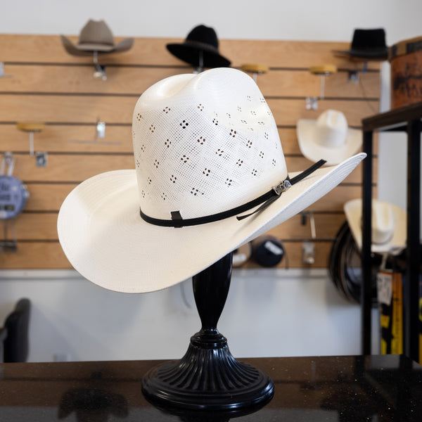 Cuernos Chuecos 100X Sonora Flower - Western