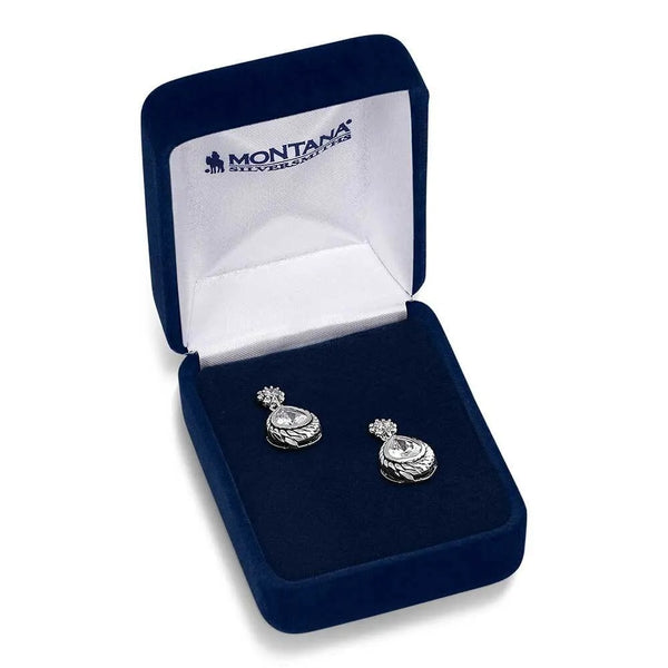 Leading Light Crystal Earrings