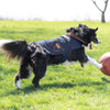 Wrangler Pet Dark Denim Jacket with Lining