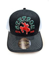 Stetson Cap Bronc Rider