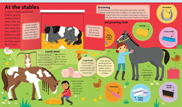 All About Horses & Ponies: Lift-the-Flap Book by - Broken horn