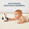 Itzy Ritzy Carmen The Cow - Itzy Bitzy Mirror™ Travel + Tummy Time Toy - Broken horn