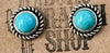 Western Turquoise Stud Earrings