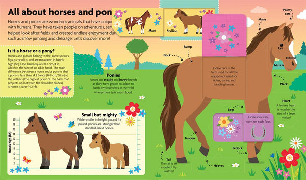 All About Horses & Ponies: Lift-the-Flap Book by - Broken horn