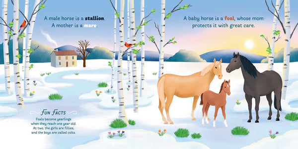 Little Genius Horses by Teesh Holladay - Broken horn