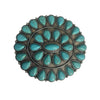 Oval Turquoise Cluster Buckle