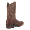 Dan Post Ostrich Print Boot