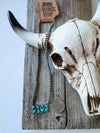 Western Cluster Bar Necklace 