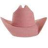 Cattleman - Felt Cowboy Hat - Cowboy Hat Band - Broken horn
