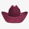 Cattleman - Felt Cowboy Hat - Cowboy Hat Band - Broken horn