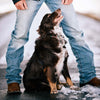 Ariat M2 Relaxed Stirling Stretch Boot Cut Jean - Broken horn