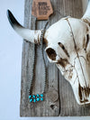 Western Cluster Bar Necklace  - Broken horn