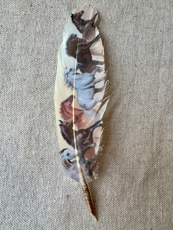 Wild Horses (Cream) Hat Feather - Broken horn