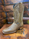 Bota Fenix Square Toe  Camel - Broken horn