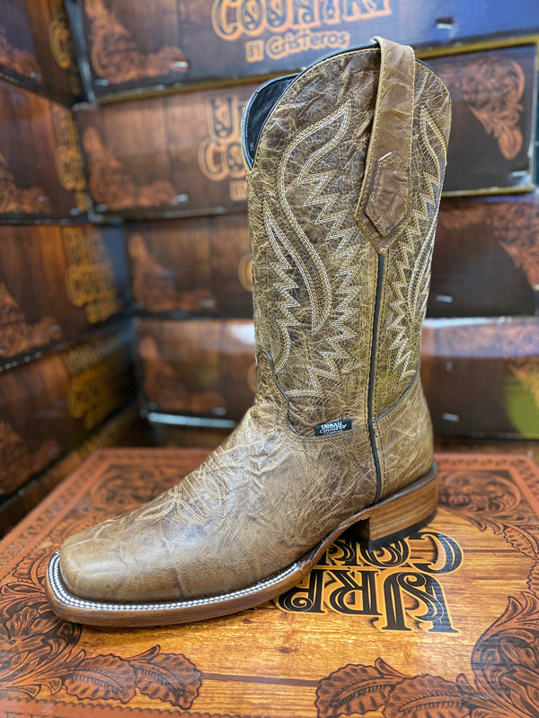Bota Fenix Square Toe  Camel - Broken horn