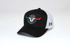 Kimes Toluca Cap - Broken horn