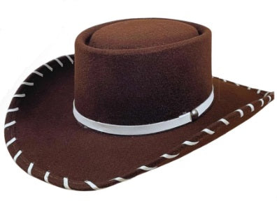 Toy Story Woody Hat - Broken horn