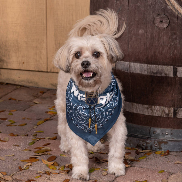 Wrangler Pet Paisley Bandana Navy Multi - Broken horn