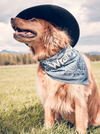 Wrangler Pet Paisley Bandana Navy Multi - Broken horn