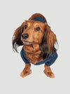 Wrangler Pet Logo Graphic Tee Navy - Buckle - Broken horn