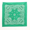 Traditional Fashion Bandanas - Broken horn