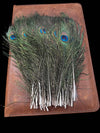 Peacock Feathers - Broken horn