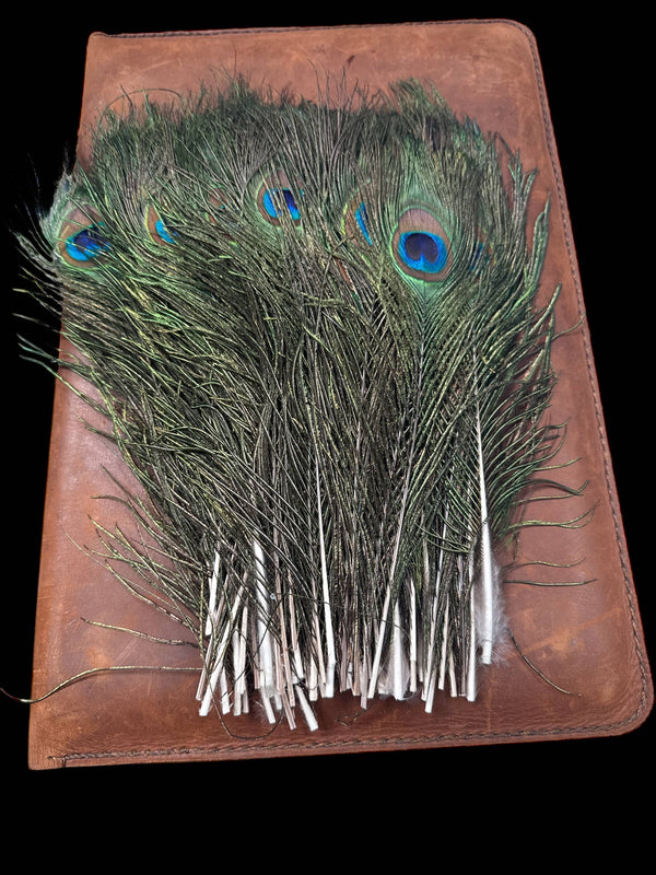 Peacock Feathers - Broken horn