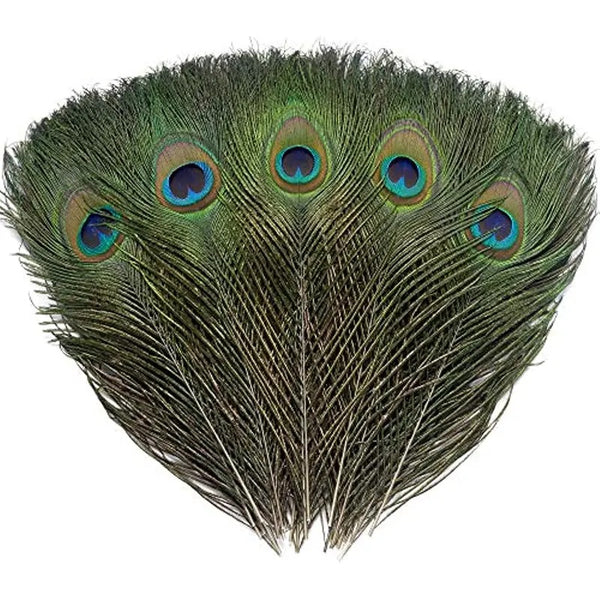 Peacock Feathers - Broken horn
