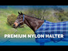 Premium Nylon Breakaway Halter - Navy/Kentucky Blue Plaid