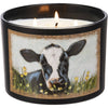 Cow In Buttercups Candle - Broken horn