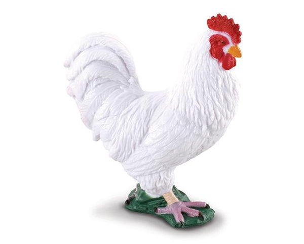 White Cockerel - Broken horn