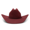 Charlie 1 Horse The Cowgirl Hat - Broken horn
