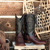 Stetson Cody Boot - Broken horn