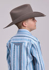 Roper Stripe Snap Shirt - Broken horn