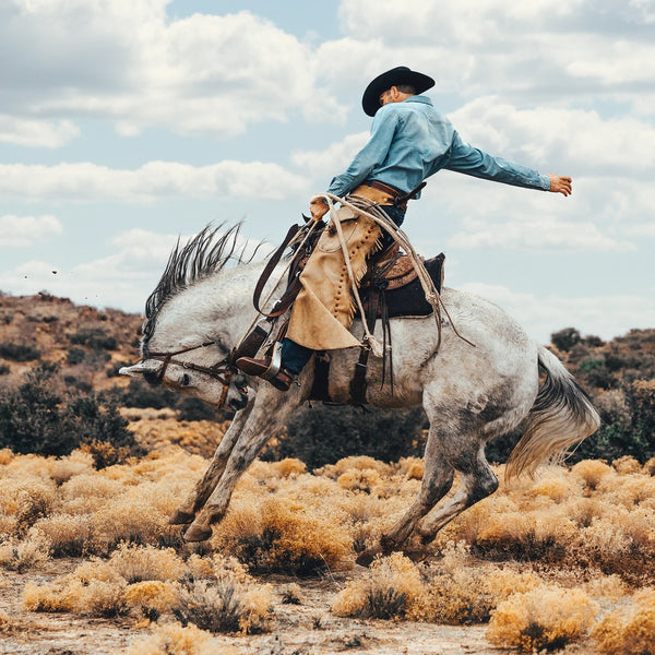 Stetson Long-Sleeved Denim Shirt - Broken horn