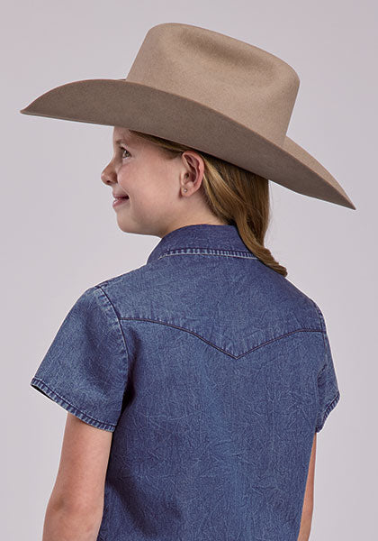 Roper Blue Denim Western Blouse - Broken horn