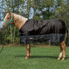 Economy Turnout Blanket, 600-denier - Broken horn