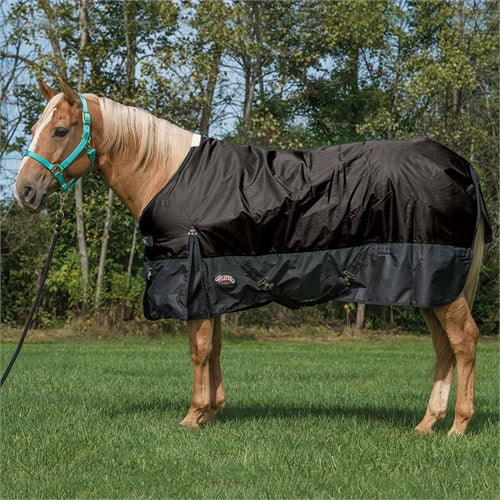 Economy Turnout Blanket, 600-denier - Broken horn