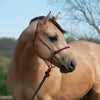 Silvertip® Transition Rope Halter with Sliding Ring - Broken horn