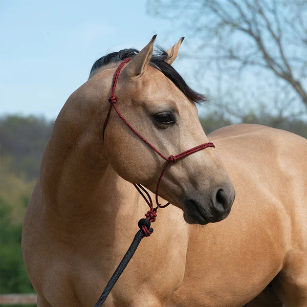 Silvertip® Transition Rope Halter with Sliding Ring - Broken horn