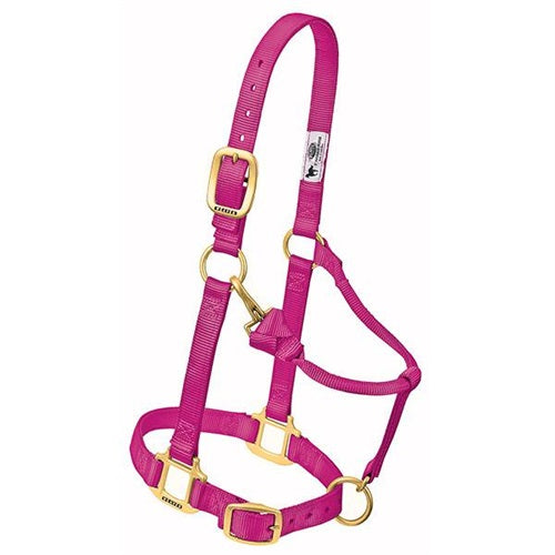 Original Adjustable Chin and Throat Snap Halter 1" - Broken horn