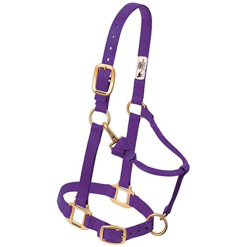 Original Adjustable Chin and Throat Snap Halter 1" - Broken horn