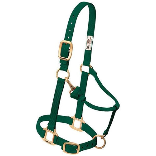 Original Adjustable Chin and Throat Snap Halter 1" - Broken horn