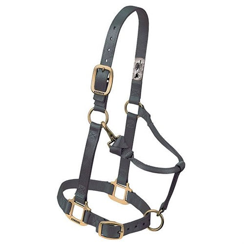 Original Adjustable Chin and Throat Snap Halter 1" - Broken horn