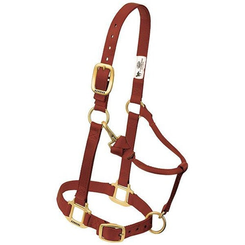 Original Adjustable Chin and Throat Snap Halter 1" - Broken horn