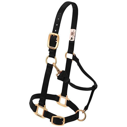 Original Adjustable Chin and Throat Snap Halter 1" - Broken horn