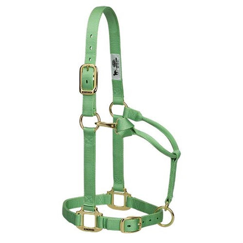 Original Adjustable Chin and Throat Snap Halter 1" - Broken horn
