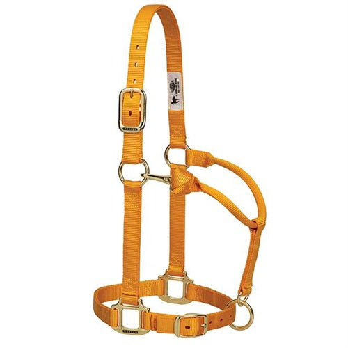Original Adjustable Chin and Throat Snap Halter 1" - Broken horn