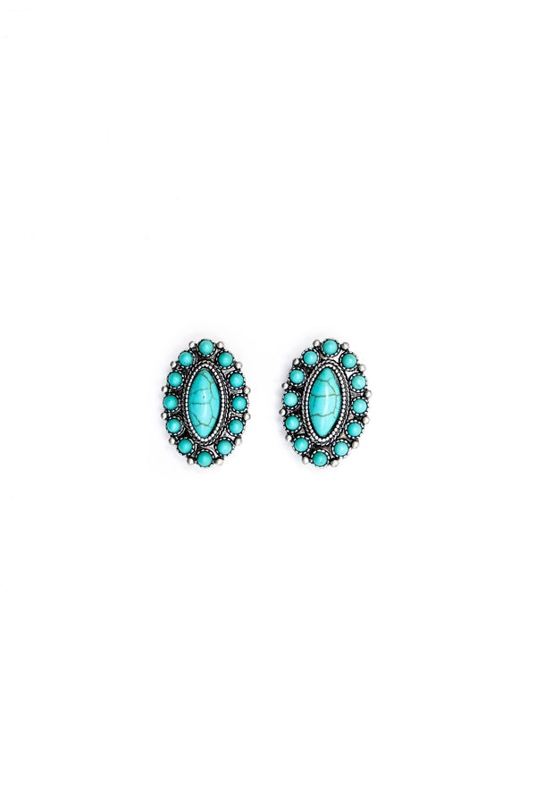Elongated Turquoise Post Earring - Broken horn